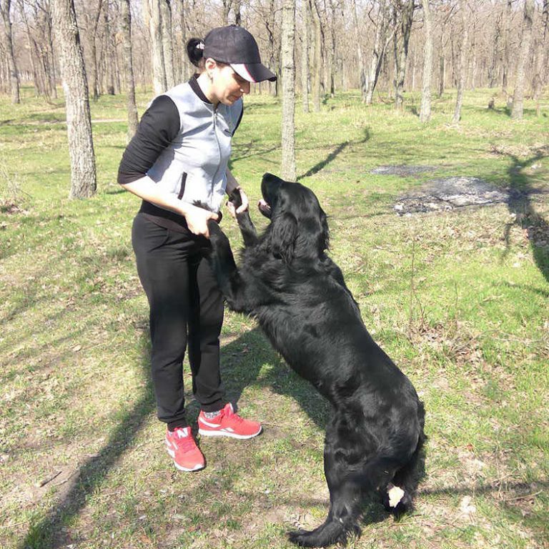 IMG_20180407_144051_optimized